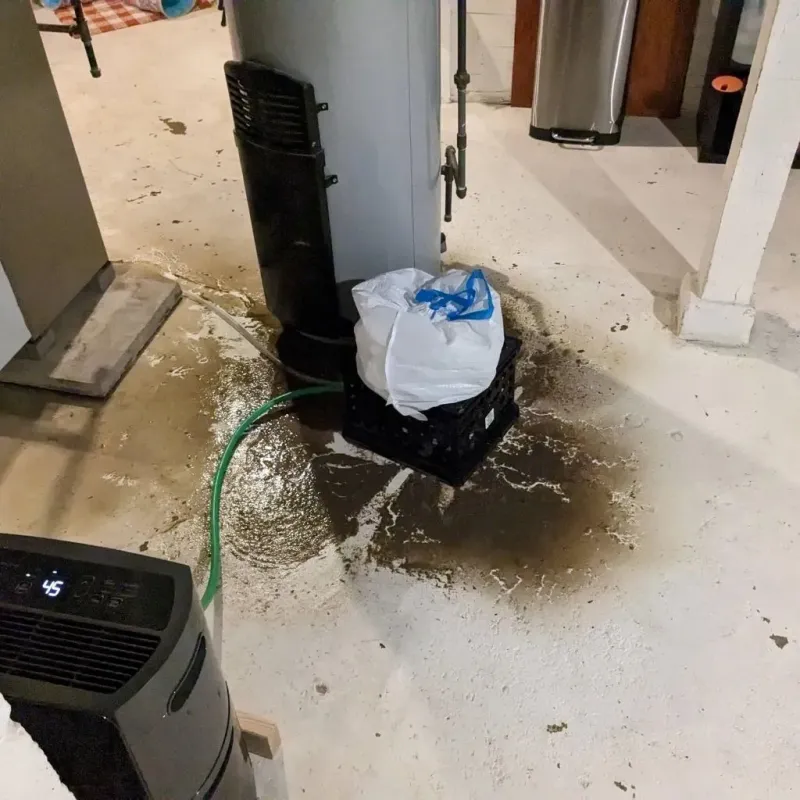 Sewage Backup Cleanup Service in McKinley County, NM